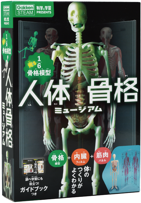 『科学と学習PRESENTS 人体骨格ミュージアム』